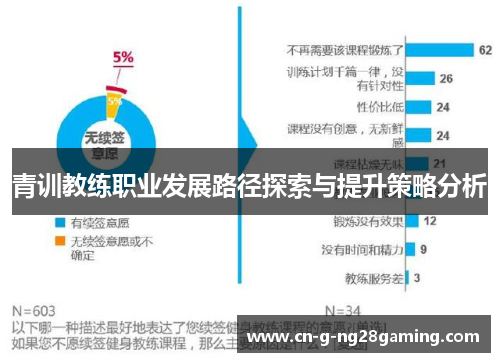 青训教练职业发展路径探索与提升策略分析