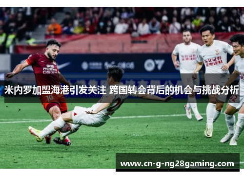 米内罗加盟海港引发关注 跨国转会背后的机会与挑战分析