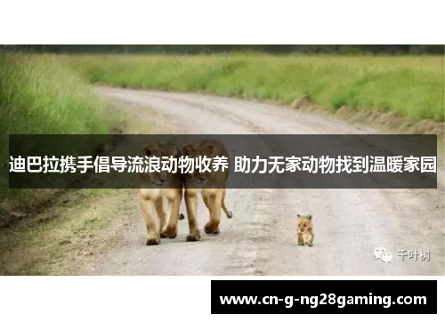 迪巴拉携手倡导流浪动物收养 助力无家动物找到温暖家园